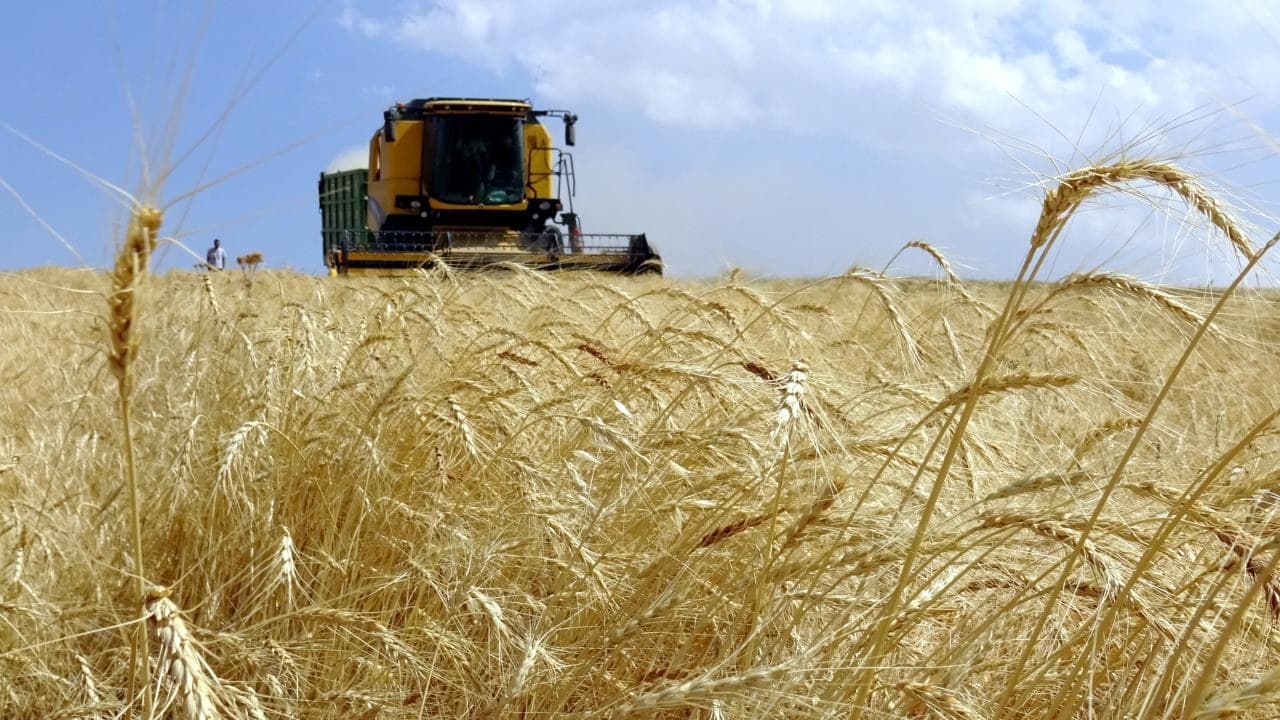 Yaklaşık 6,5 milyar lira tarımsal destekleme ödemesi bugün yapılacak