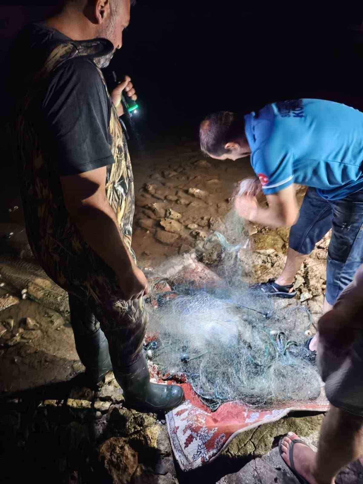 Kayseri'den 49 ülkeye günde 100 ton balık satılıyor
