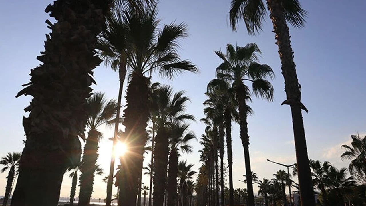 Mersin'de hava sıcaklığı 37 dereceye çıkacak