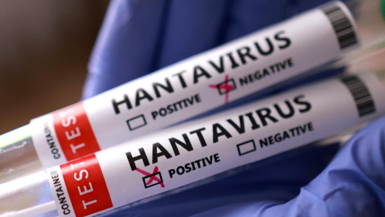 AB, hantavirüse karşı aşı ve tedavi yöntemleri geliştiriyor
