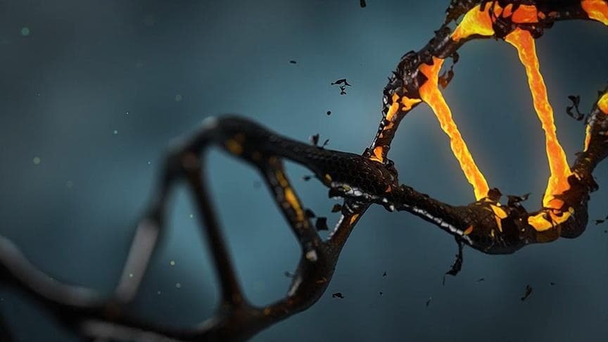 Meme kanserinde kemoterapi alması gerekmeyen hastalar için DNA testi geliştirildi
