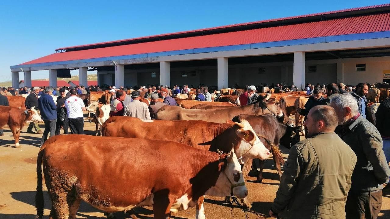 DMM'den sosyal medyada sahte kurban ilanlarına ilişkin uyarı
