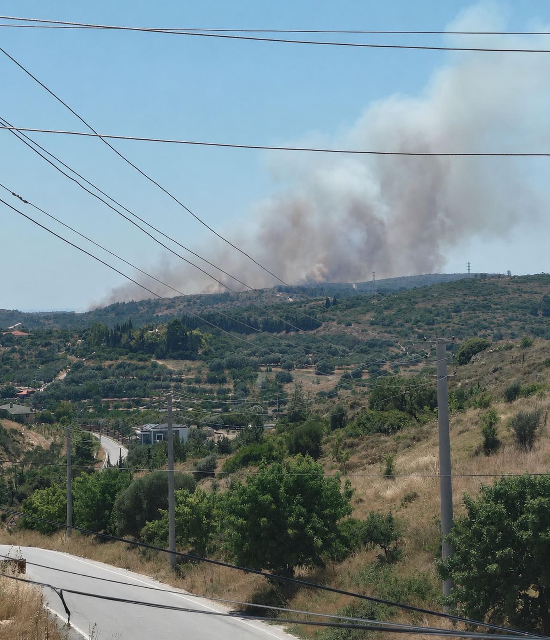 Çeşme'de çöplük yangını makilik alana sıçradı