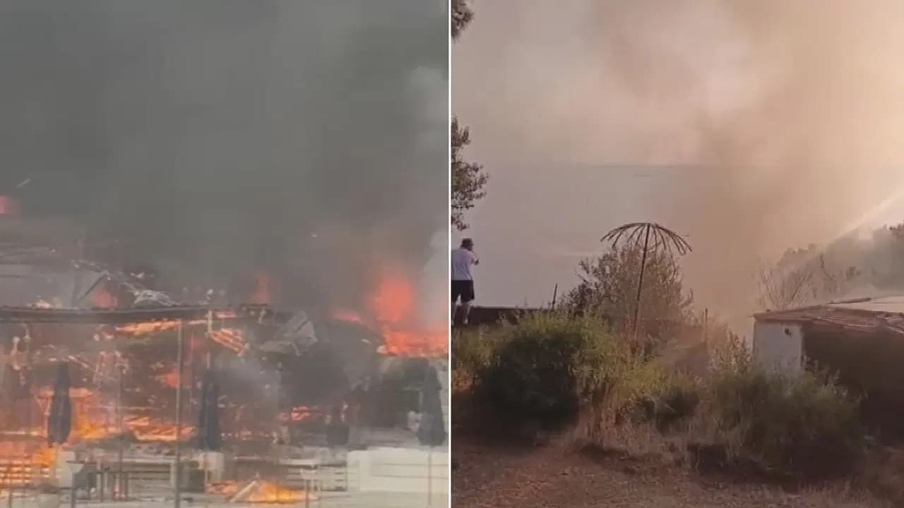 Büyükada'daki plajda çıkan yangın ormana sıçradı: 4 kişi hastanelik oldu, yangın kontrol altında!